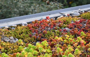 the cost of Little Frith green roof installation