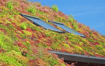 Little Frith living roof systems