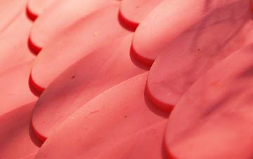 Little Frith plastic roof costs